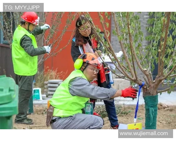 北京排球队心理素质探讨：提升竞技表现与团队协作的关键因素