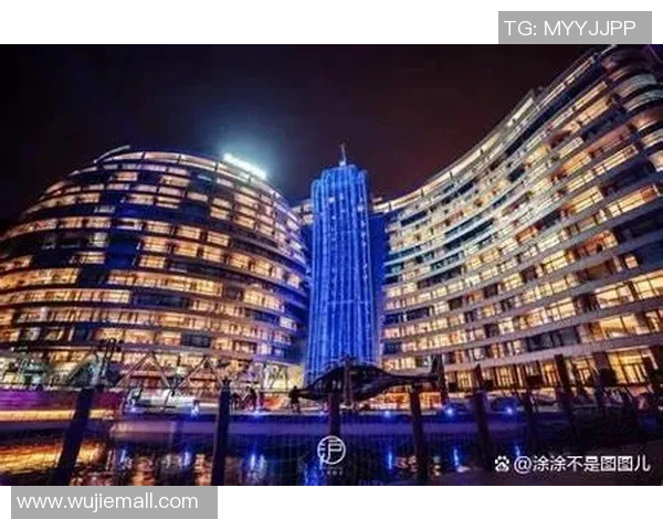 武汉飞盘队运营分析:成功经验与面临挑战的全面探讨 武汉飞盘队运营分析:成功经验与面临挑战的全面探讨